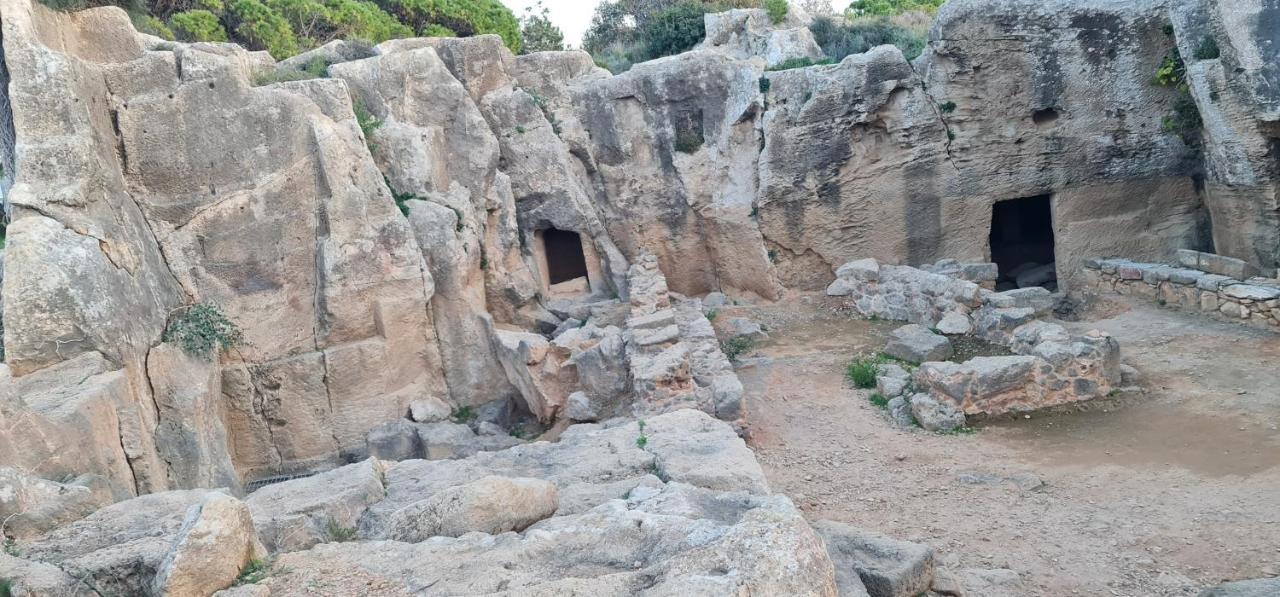 Bee Hostel Πάφος Εξωτερικό φωτογραφία
